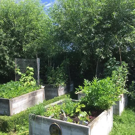 B&B L'Happeautine 4* Piétrebais