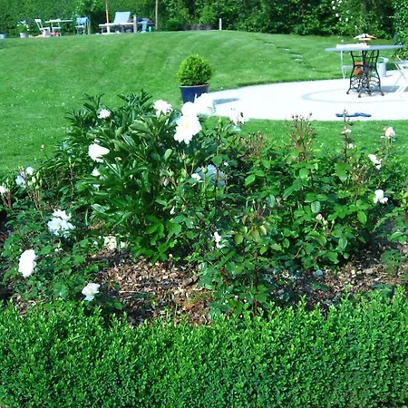 B&B L'Happeautine Piétrebais